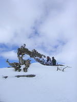 DSCN8680.JPG