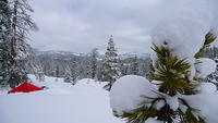 Kevin's pics