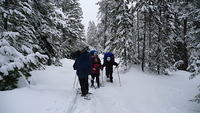 20100206_2696.jpg