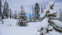20100207_2559.jpg
