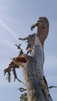 20100228_2866.jpg