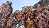 20100228_2888.jpg