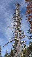 20100228_2896.jpg
