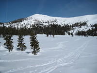 IMG_0380.jpg