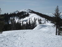 IMG_0383.jpg