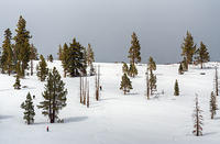 P07_2677t2.jpg