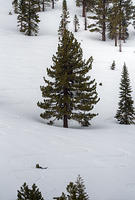 P07_2746t2.jpg