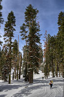P07_3161t3.jpg