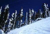 IMG_6580.JPG