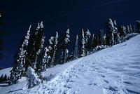 IMG_6581.JPG