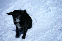 IMG_6584.JPG