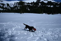 IMG_6592.JPG