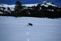 IMG_6593.JPG