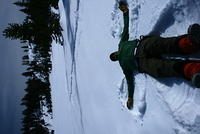 IMG_6595.JPG