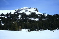IMG_6599.JPG