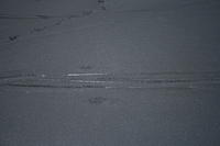 IMG_6616.JPG