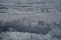IMG_6617.JPG