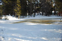 DSC_0031.JPG