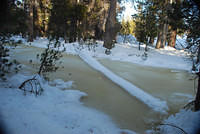 DSC_0037.JPG