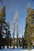 DSC_0042.JPG