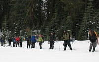 Group 4