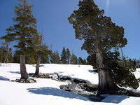 Winters end.jpg