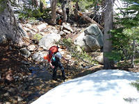 P1030051 copy.jpg