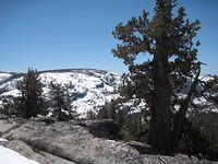 IMG_2072.JPG