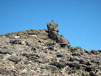 IMG_2090.JPG