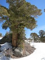 IMG_2271.JPG