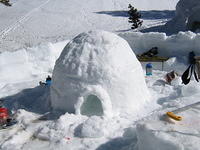 Igloo 101