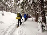 IMG 5881