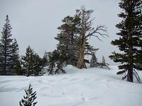 IMG 6016
