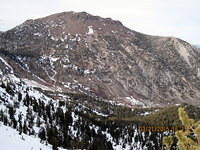 Fabulous Spring - Mt Rose