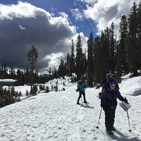 IMG 0169