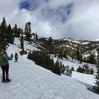 IMG 0171