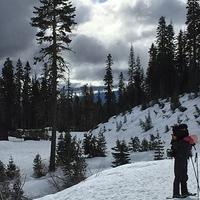 IMG 0215