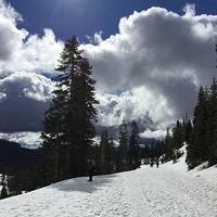 IMG 0217