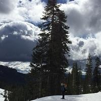 IMG 0218