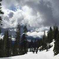 IMG 0219