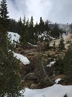 IMG 0225