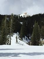 IMG 0226