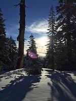 IMG 0229