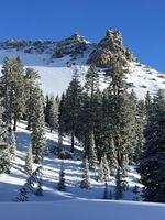 IMG 0233