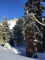 IMG 0239