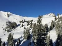IMG 0247