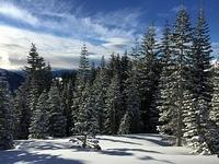 IMG 0248