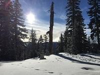 IMG 0251