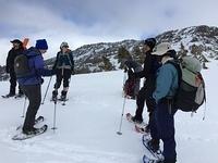 IMG 0255