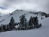 IMG 0259